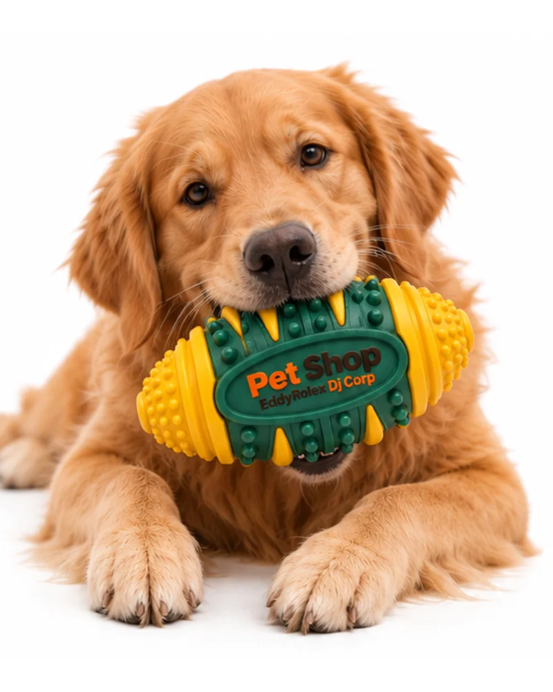 A golden retriever holding the green and yellow rugby chew toy