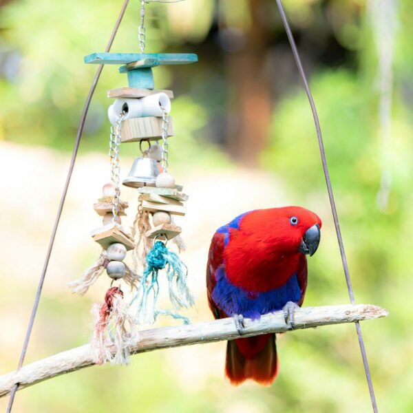 Parrot perched next to a hanging foraging toy