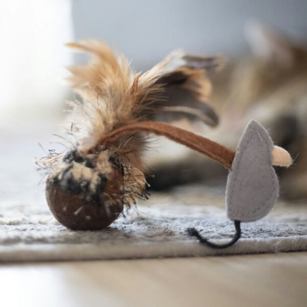 Feather ball toy and gray felt mouse toy