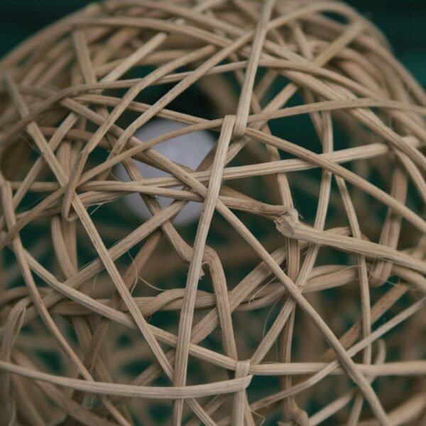 Close-up of a woven willow ball