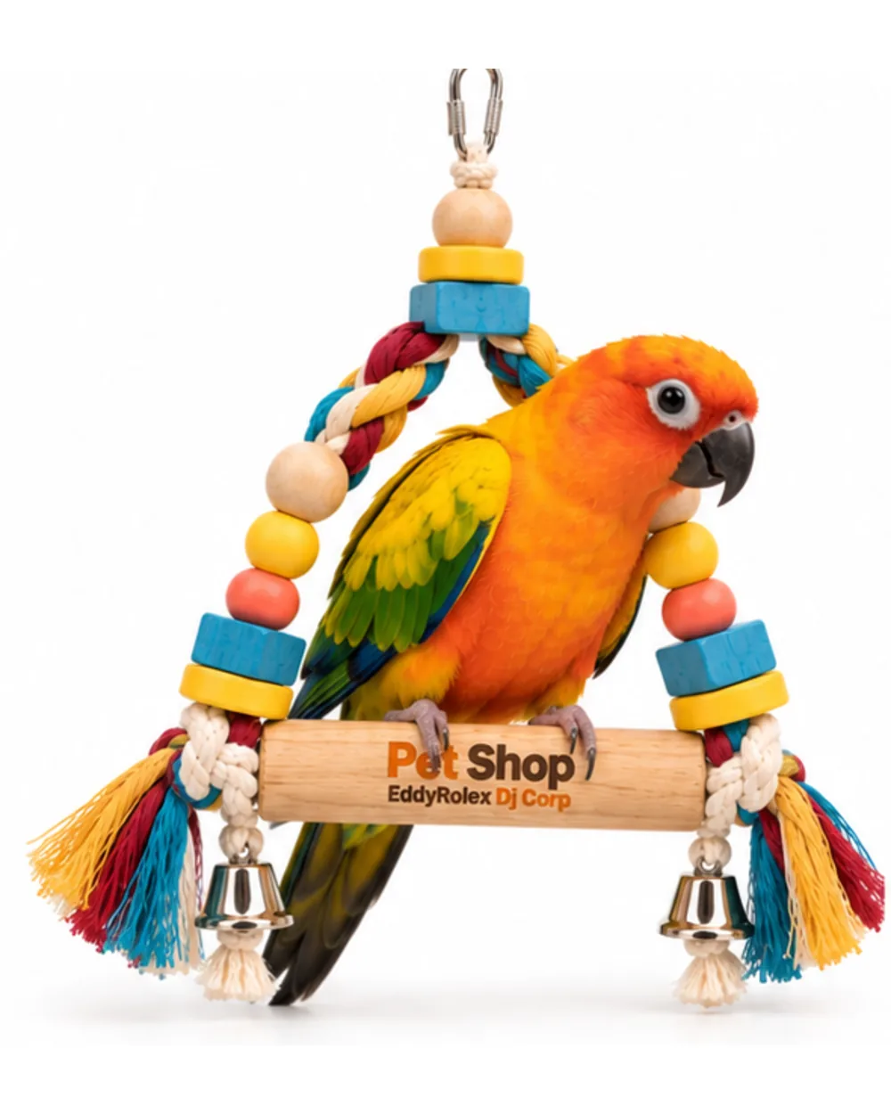 Sun conure perched on the braided rope swing